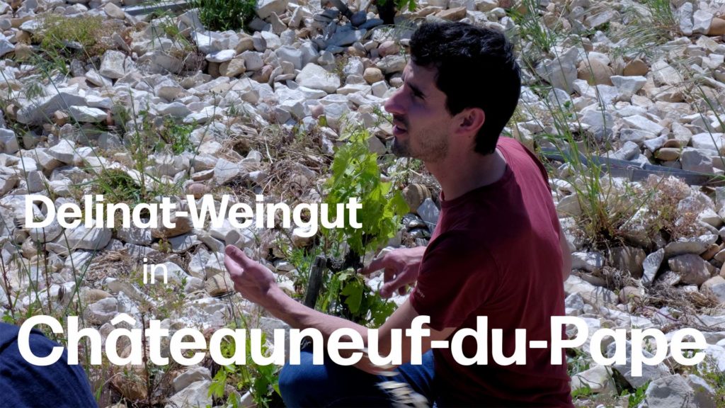 Ökologie mit Tradition vereint: Das Delinat-Weingut &quot;Domaine de Beaurenard&quot; in Châteauneuf-du-Pape