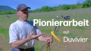 Pionierarbeit auf Château Duvivier