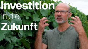 Mit resistenten Rebsorten in die Zukunft: Das Delinat-Weingut Hirschhof
