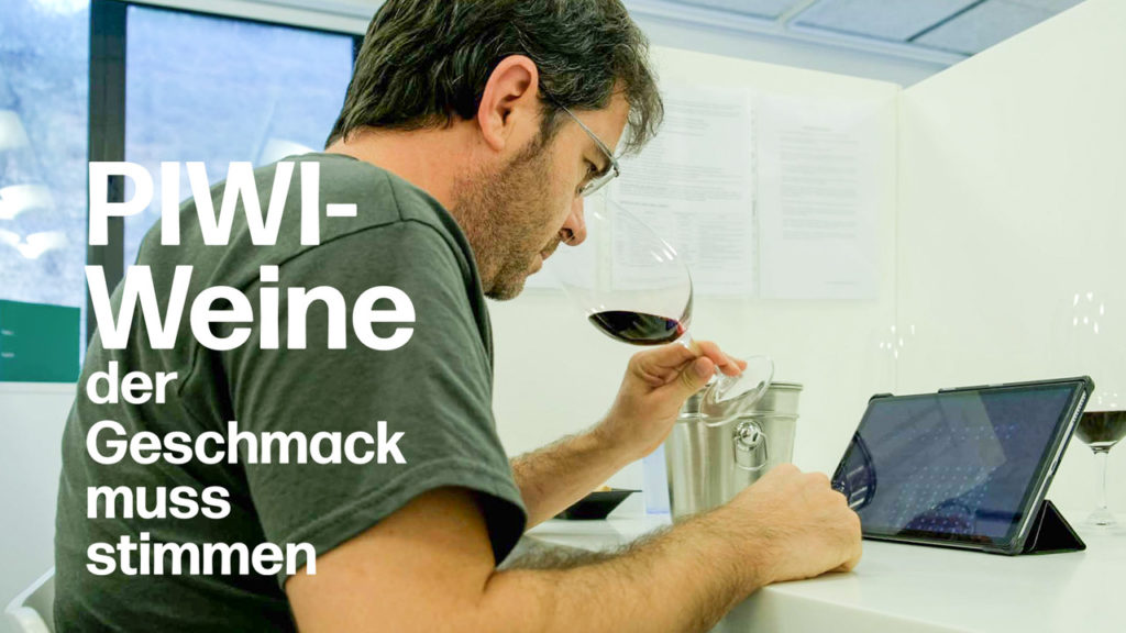 Weinherstellung in kleinen Mengen: Mikrovinifikation, Weinanalyse und Degustation von PIWI-Sorten