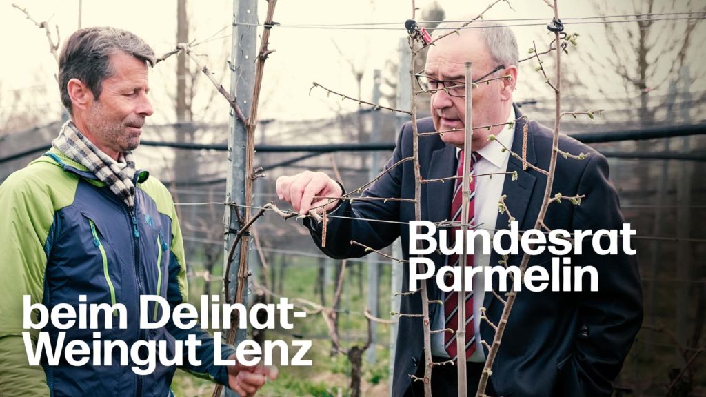 PIWIs in der Politik: Delinat-Winzer Roland Lenz lädt Bundesrat Guy Parmelin ein