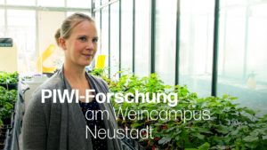 thumbnail-weincampus-neustadt