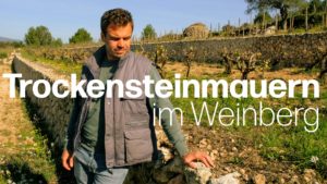 Trockensteinmauern als Teil des Weinberg-Ökosystems