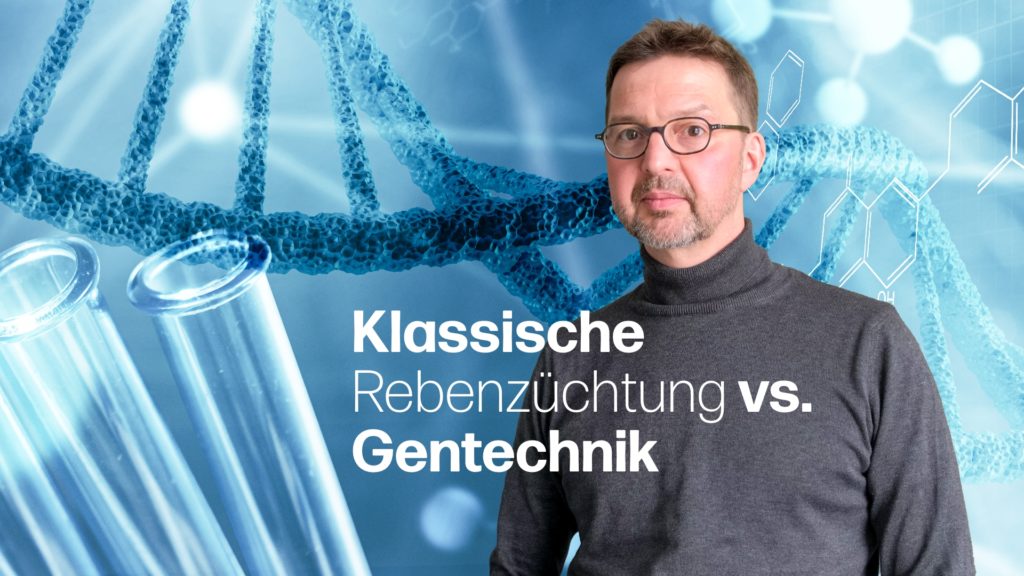 Gentechnik vs. klassische Rebenzüchtung bei PIWI-Sorten: Dr. Frank Brändle erklärt die Unterschiede