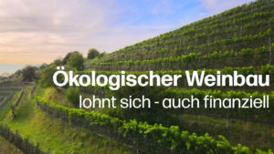 Ökologischer Weinbau Roland Lenz