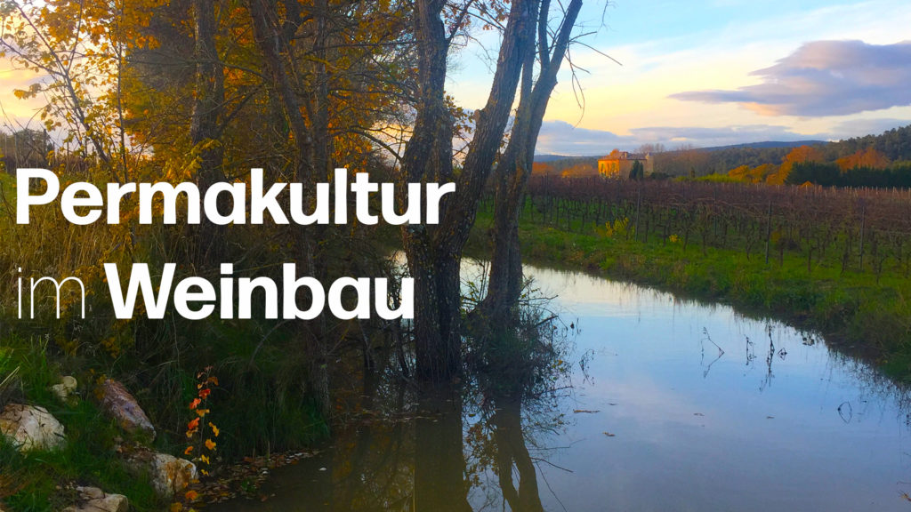 Permakultur im Weinbau: So wurde die Wasserretentions-Landschaft auf Château Duvivier gebaut