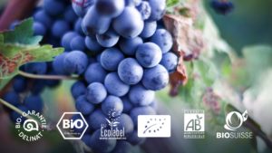 Überblick im Biowein-Zertifikatsdschungel