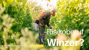 Wie schädlich sind Pestizide für die Gesundheit?