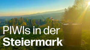 Steiermark