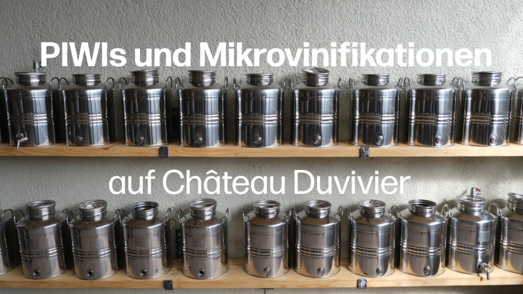 Neue Rebsorten im Weinberg und im Keller: PIWIs und Mikrovinifikationen auf Château Duvivier