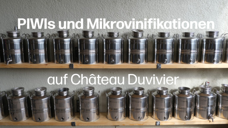 Thumbnail Mikrovinifikation