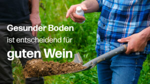 Thumbnail Boden Weinbau