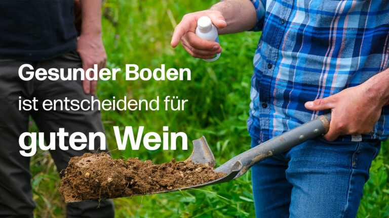 Thumbnail Boden Weinbau