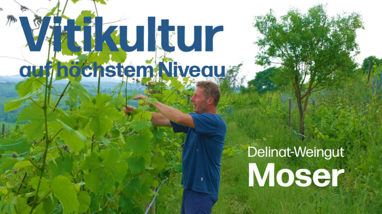 Vitikultur Moser Thumbnail