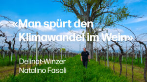 Natalino Fasoli Thumbnail Youtube