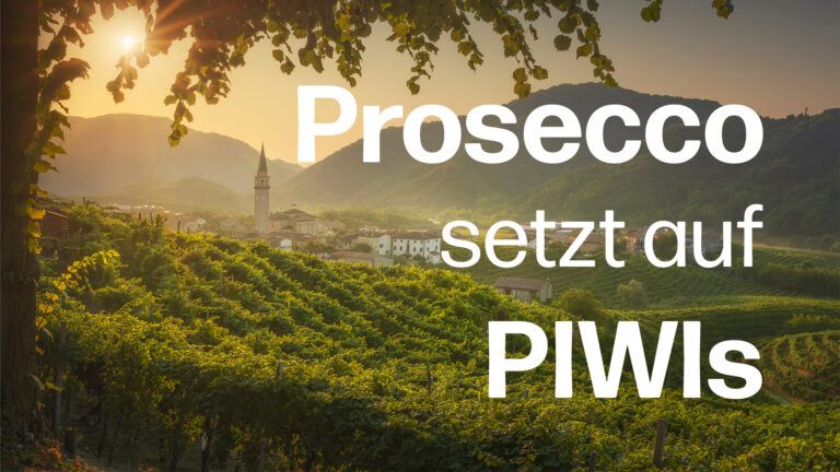 Prosecco PIWI