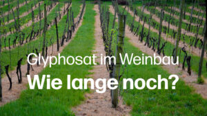 Glyphosat